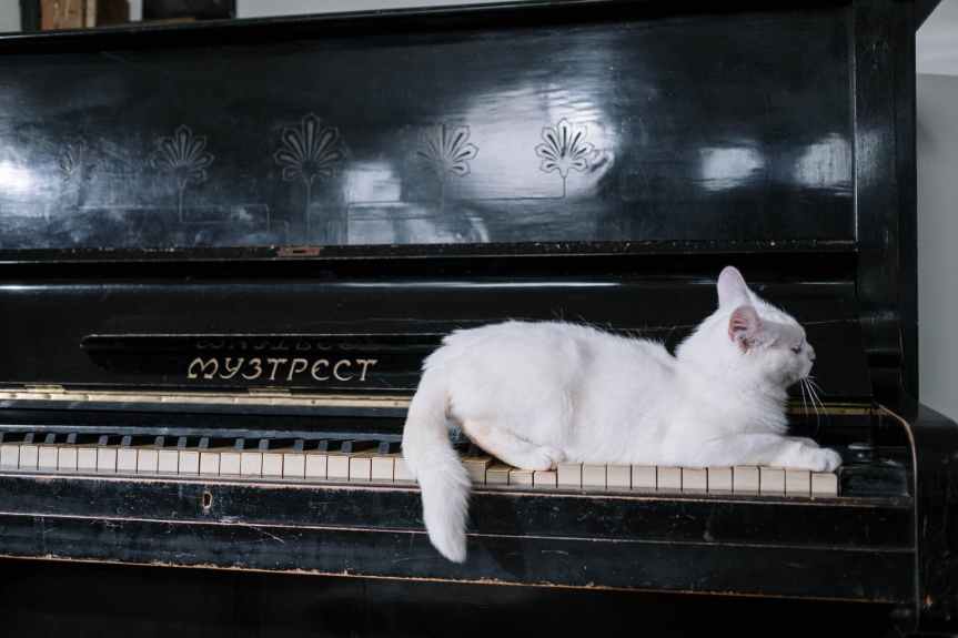 10 Rock Star Musician Biographies on Netflix Now | Leverage Ambition