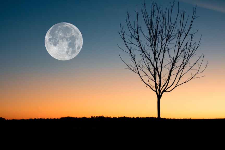 The Meaning of the Full Worm Moon this March | Leverage Ambition