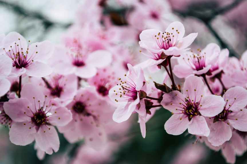 32 Quotes About How the Spring Season Has Sprung | Leverage Ambition