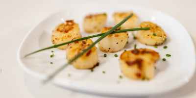 fried scallops with herbs served on white plate