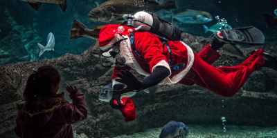 man in santa claus costume with diving gear inside aquarium