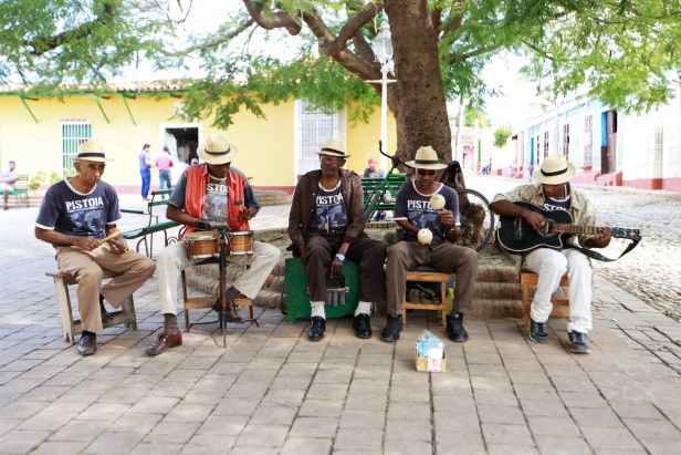 musicians playing under a tree