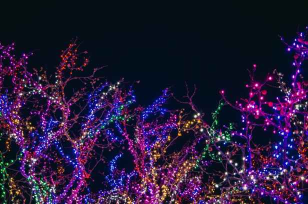 assorted color string lights